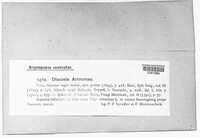 Image Associated With the Occurence